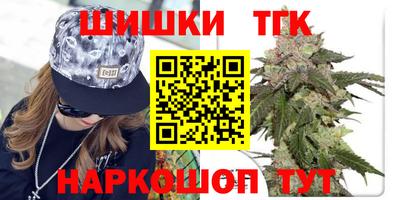 индика Рыбинск