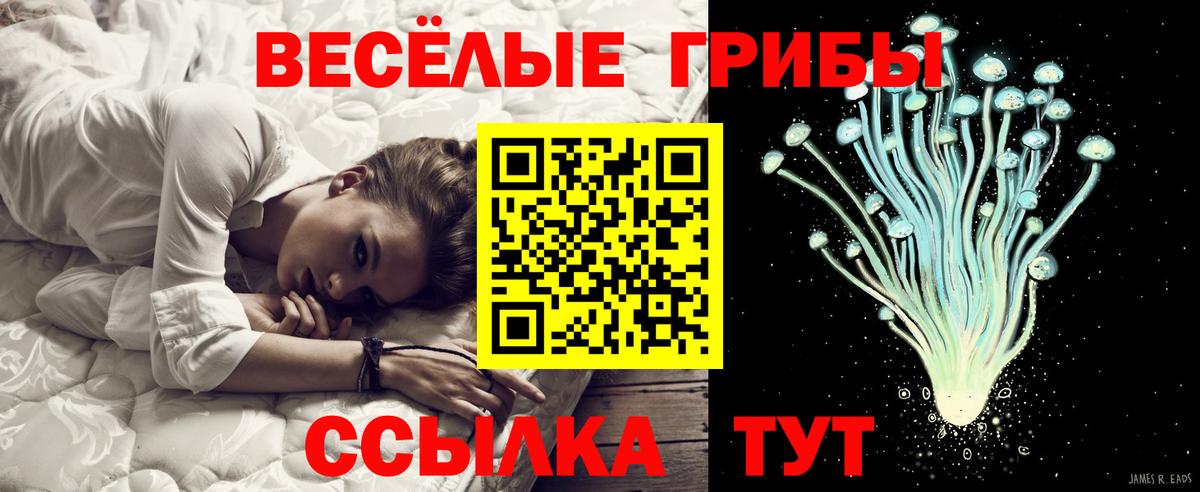 Галлюциногенные грибы ЛСД  Вход с VPN  Прокопьевск 